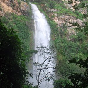 Cascade dans la forêt tropicale de Kpalimé
